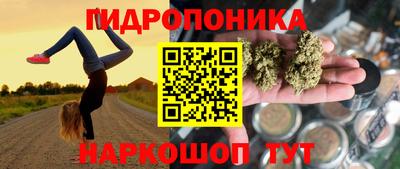 мдпв Дубна
