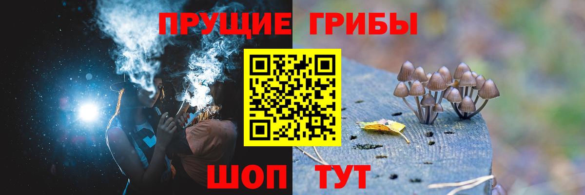 Галлюциногенные грибы MAGIC MUSHROOMS  Псилоцибиновые грибы прущие грибы  Вход с VPN  Нижнекамск 